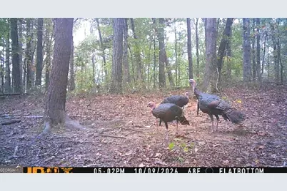 2466 Flatbottom Rd, Ball Ground, GA 30107 - Photo 34