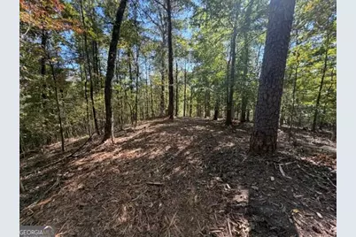 2466 Flatbottom Rd, Ball Ground, GA 30107 - Photo 24