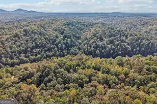 120 Bear Den Rd, Dahlonega, GA 30533 - Photo 94