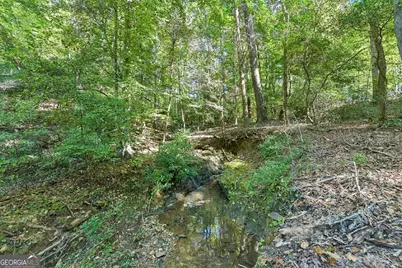 231 Hatfield Grove, Dahlonega, GA 30533 - Photo 44