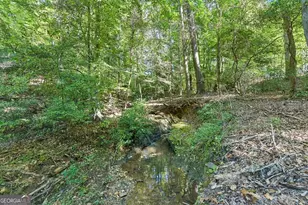 231 Hatfield Grove, Dahlonega, GA 30533 - Photo 44