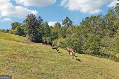 231 Hatfield Grove, Dahlonega, GA 30533 - Photo 12