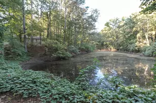 14 Daniel Rd, Tallapoosa, GA 30176 - Photo 10