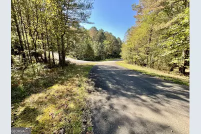 0 Eastside Drive, Ellijay, GA 30536 - Photo 2