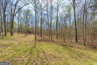733 Cherry Road, Franklin, GA 30217 - Photo 6