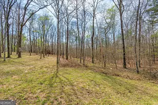 733 Cherry Rd, Franklin, GA 30217 - Photo 6