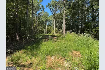 0 Highway 18 E, Gray, GA 31032 - Photo 8