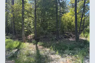 0 Highway 18 E, Gray, GA 31032 - Photo 6