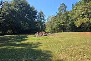 795 S Main St, Davisboro, GA 31018 - Photo 114