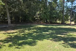 795 S Main St, Davisboro, GA 31018 - Photo 142