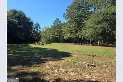 795 S Main Street, Davisboro, GA 31018 - Photo 120