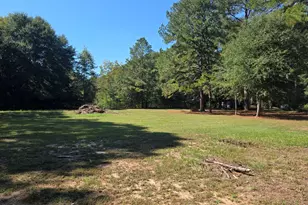 795 S Main St, Davisboro, GA 31018 - Photo 120