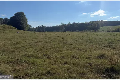 541 Addison Road, Buchanan, GA 30113 - Photo 42