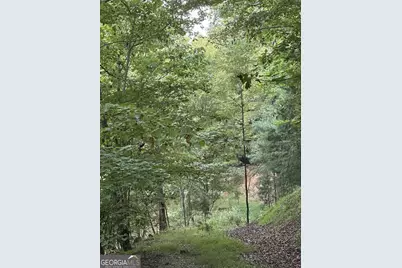 335 Deer Run Lane, Morganton, GA 30560 - Photo 14