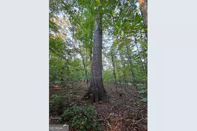 0 Vickers Road, Flovilla, GA 30216 - Photo 10
