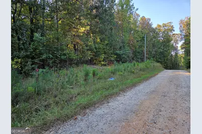 0 Vickers Road, Flovilla, GA 30216 - Photo 4