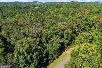 0 Town Creek Road #LOT 20, Talking Rock, GA 30175 - Photo 6
