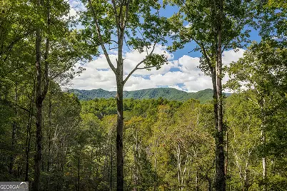 808 Mill Stone Mountain, Blue Ridge, GA 30513 - Photo 2