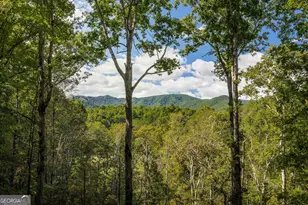 808 Mill Stone Mountain Ln, Blue Ridge, GA 30513 - Photo 2