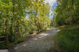 808 Mill Stone Mountain Ln, Blue Ridge, GA 30513 - Photo 42