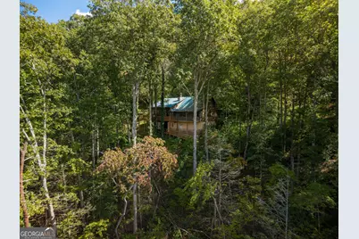 808 Mill Stone Mountain Lane, Blue Ridge, GA 30513 - Photo 1
