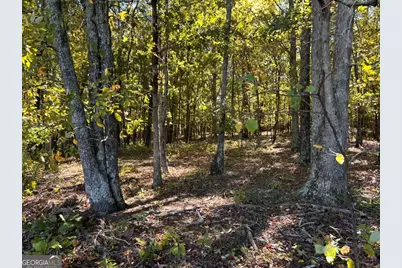 0 Arnold Dairy Farm Road, Social Circle, GA 30025 - Photo 2
