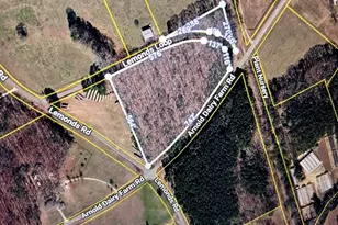 0 Arnold Dairy Farm Rd, Social Circle, GA 30025 - Photo 1
