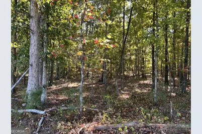0 Arnold Dairy Farm Road, Social Circle, GA 30025 - Photo 4