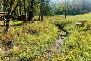 456 Nicholson Rd, Blue Ridge, GA 30513 - Photo 20