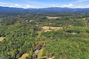 456 Nicholson Rd, Blue Ridge, GA 30513 - Photo 2