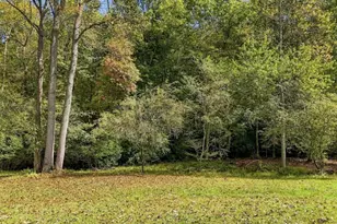456 Nicholson Rd, Blue Ridge, GA 30513 - Photo 10