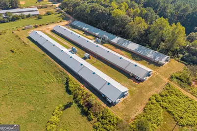 0 Abc Farm Rd, Royston, GA 30662 - Photo 4