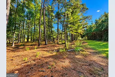 2323 Pleasant Valley Road, Woodland, GA 31836 - Photo 38