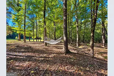 2323 Pleasant Valley Road, Woodland, GA 31836 - Photo 36