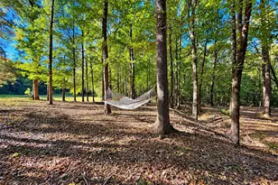 2323 Pleasant Valley Rd, Woodland, GA 31836 - Photo 36