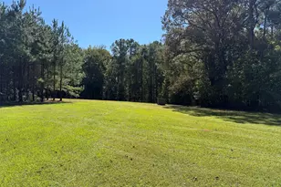 2323 Pleasant Valley Rd, Woodland, GA 31836 - Photo 54