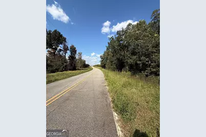 Lot 1 Harrison Davisboro Road, Davisboro, GA 31018 - Photo 2