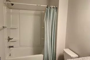 11692 Mendenhall Ct, Hampton, GA 30228 - Photo 2