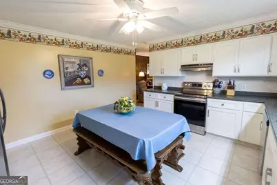 2748 County Line Road NE, Ludowici, GA 31316 - Photo 12