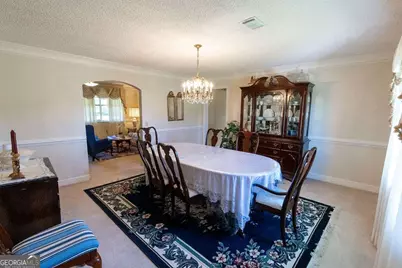 2748 County Line Road NE, Ludowici, GA 31316 - Photo 14