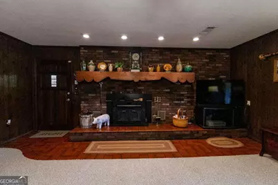 2748 County Line Road NE, Ludowici, GA 31316 - Photo 6