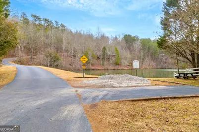 0 Douglas Fir Drive, Cleveland, GA 30528 - Photo 8