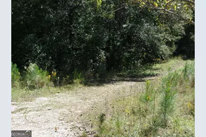 229 Dixon Road, Newnan, GA 30263 - Photo 10