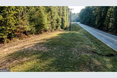 0 Deep South Road #LOT 2, Senoia, GA 30276 - Photo 24