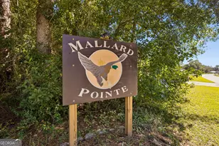 196 Wood Duck Dr, Woodbine, GA 31569 - Photo 46