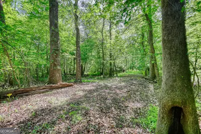 393 Edwards Road, Oxford, GA 30054 - Photo 90