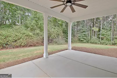 1375 Dolly Nixon Road, Senoia, GA 30276 - Photo 70