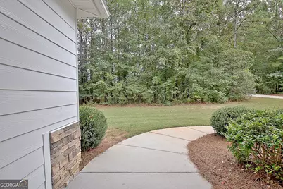 1375 Dolly Nixon Road, Senoia, GA 30276 - Photo 12