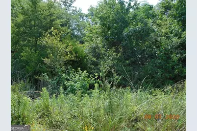 0 Churchwell Road, Greensboro, GA 30642 - Photo 2