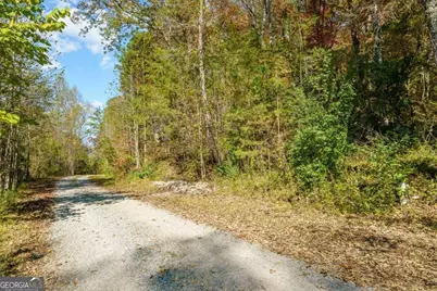 3.14 Ac Hot House Drive, Mineral Bluff, GA 30559 - Photo 12